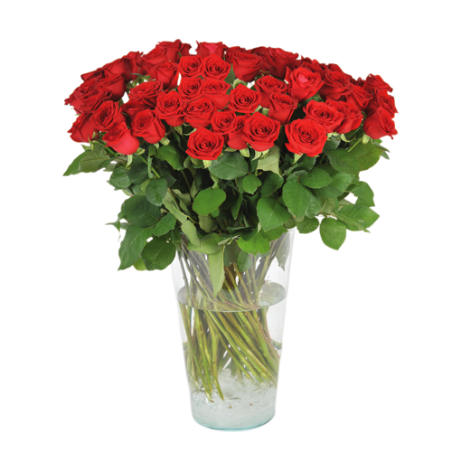 bouquet de roses rouges