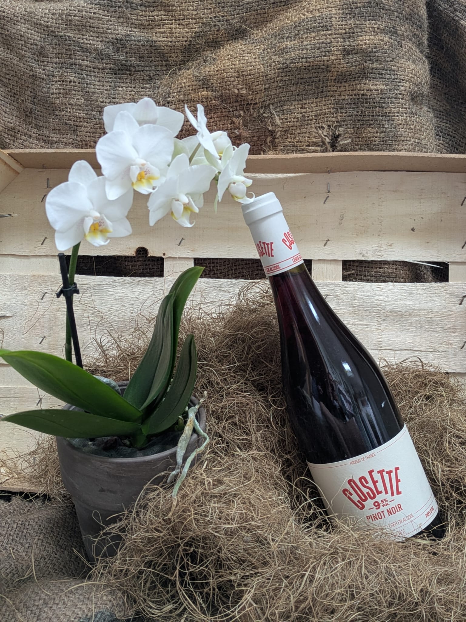 cadeau fleurs et vin cadeau fleurs et vin